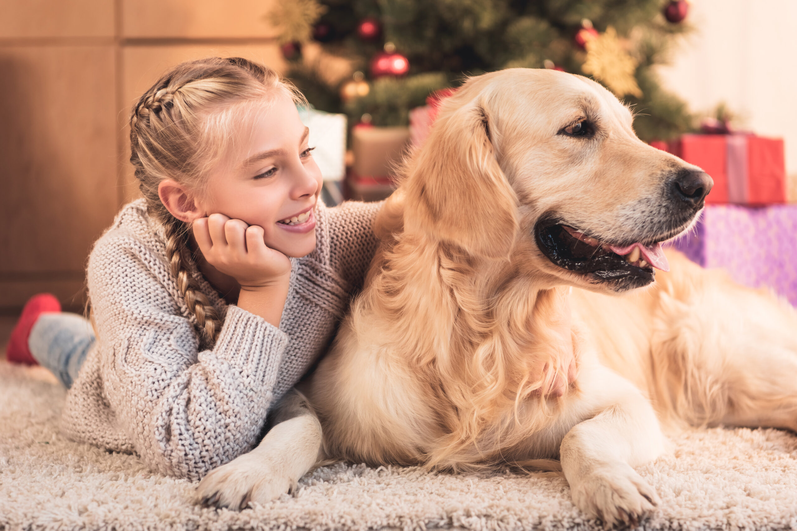 Bei der Schulhundausbildung geht es besonders um die positive Gewöhnung an Kinder