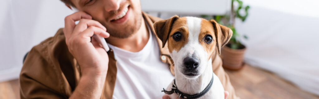 Hundetraining im Büro. Bürohundeausbildung